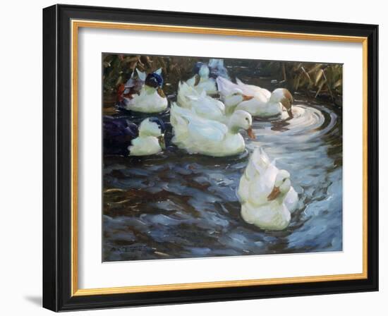 Ducks on a Pond, C1884-1932-Alexander Koester-Framed Giclee Print