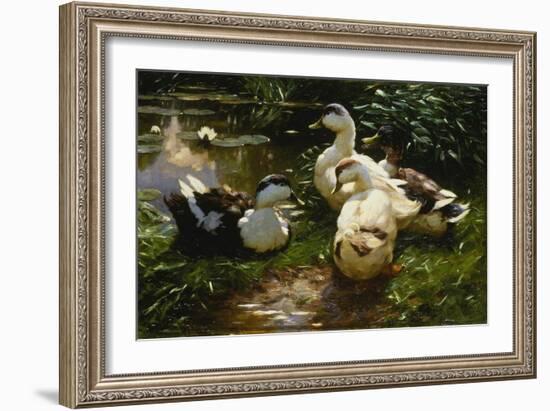 Ducks on a Pond with Waterlilies-Alexander Koester-Framed Giclee Print