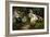 Ducks on a Pond with Waterlilies-Alexander Koester-Framed Giclee Print