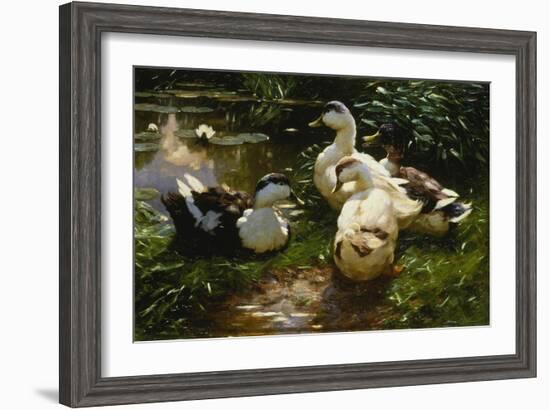 Ducks on a Pond with Waterlilies-Alexander Koester-Framed Giclee Print