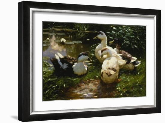 Ducks on a Pond with Waterlilies-Alexander Koester-Framed Giclee Print