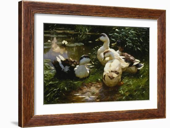 Ducks on a Pond with Waterlilies-Alexander Koester-Framed Giclee Print