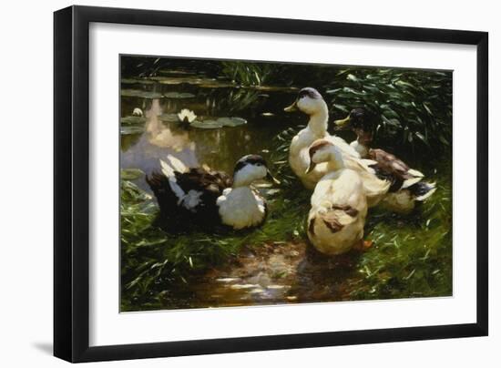 Ducks on a Pond with Waterlilies-Alexander Koester-Framed Giclee Print