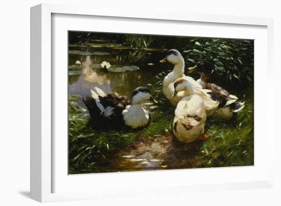 Ducks on a Pond with Waterlilies-Alexander Koester-Framed Giclee Print