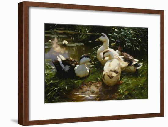 Ducks on a Pond with Waterlilies-Alexander Koester-Framed Giclee Print