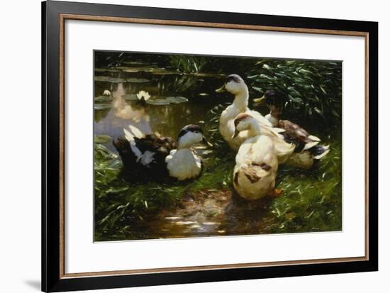 Ducks on a Pond with Waterlilies-Alexander Koester-Framed Giclee Print