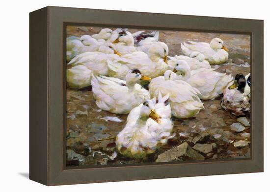 Ducks on a Pond-Alexander Koester-Framed Premier Image Canvas