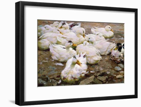 Ducks on a Pond-Alexander Koester-Framed Giclee Print