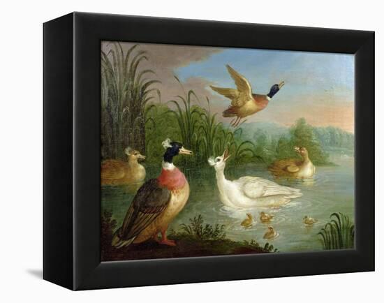 Ducks on a River Landscape-Marmaduke Craddock-Framed Premier Image Canvas