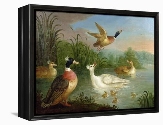 Ducks on a River Landscape-Marmaduke Craddock-Framed Premier Image Canvas