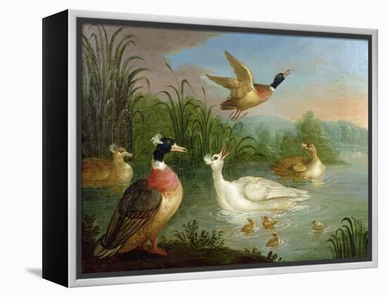 Ducks on a River Landscape-Marmaduke Craddock-Framed Premier Image Canvas