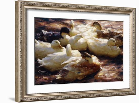 Ducks on a Riverbank-Alexander Koester-Framed Giclee Print