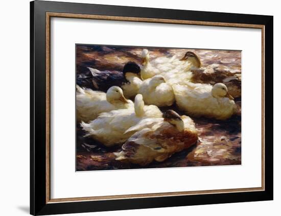 Ducks on a Riverbank-Alexander Koester-Framed Giclee Print