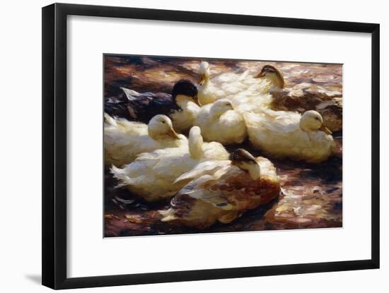 Ducks on a Riverbank-Alexander Koester-Framed Giclee Print