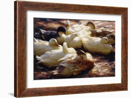 Ducks on a Riverbank-Alexander Koester-Framed Giclee Print