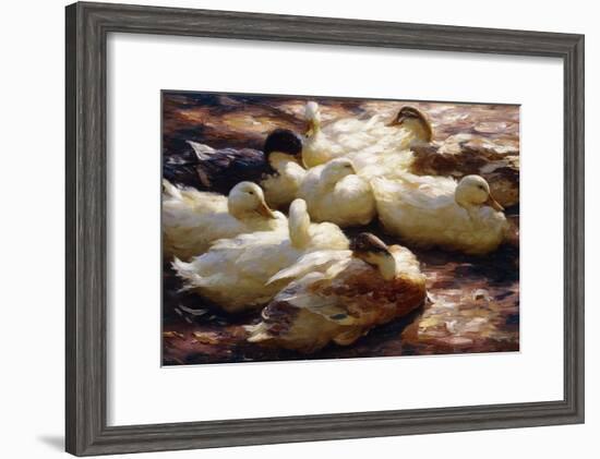 Ducks on a Riverbank-Alexander Koester-Framed Giclee Print