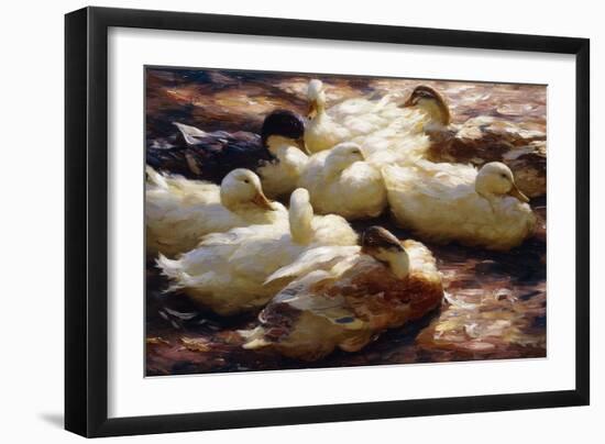 Ducks on a Riverbank-Alexander Koester-Framed Giclee Print