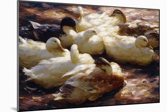 Ducks on a Riverbank-Alexander Koester-Mounted Giclee Print