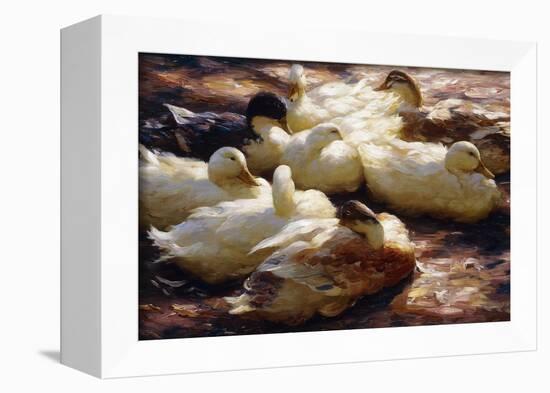 Ducks on a Riverbank-Alexander Koester-Framed Giclee Print