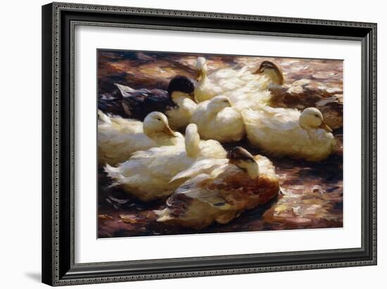 Ducks on a Riverbank-Alexander Koester-Framed Giclee Print