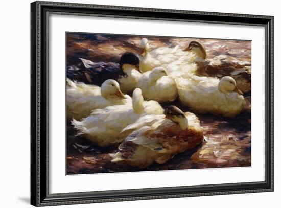 Ducks on a Riverbank-Alexander Koester-Framed Giclee Print