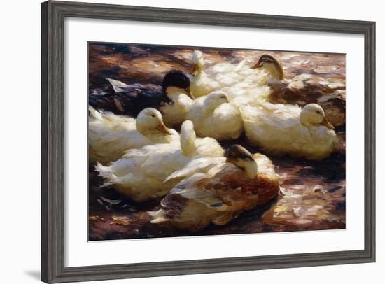 Ducks on a Riverbank-Alexander Koester-Framed Giclee Print