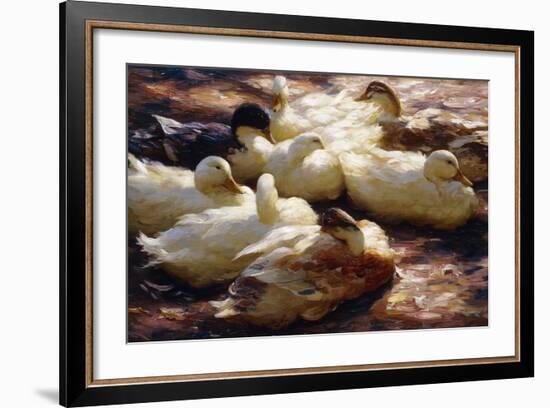 Ducks on a Riverbank-Alexander Koester-Framed Giclee Print