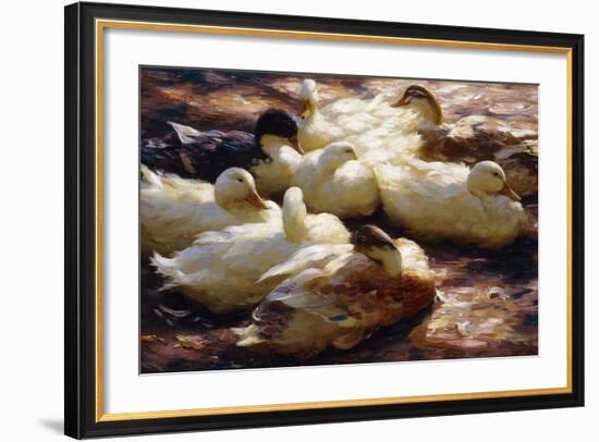 Ducks on a Riverbank-Alexander Koester-Framed Giclee Print