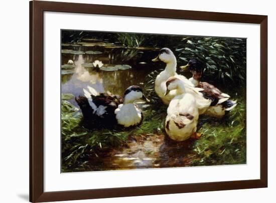 Ducks on a Riverbank-Alexander Koester-Framed Giclee Print