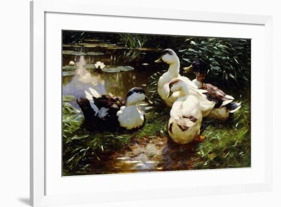 Ducks on a Riverbank-Alexander Koester-Framed Giclee Print