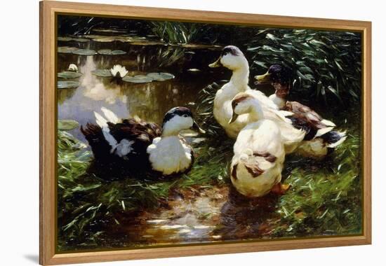 Ducks on a Riverbank-Alexander Koester-Framed Premier Image Canvas