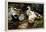 Ducks on a Riverbank-Alexander Koester-Framed Premier Image Canvas