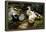 Ducks on a Riverbank-Alexander Koester-Framed Premier Image Canvas