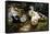 Ducks on a Riverbank-Alexander Koester-Framed Premier Image Canvas