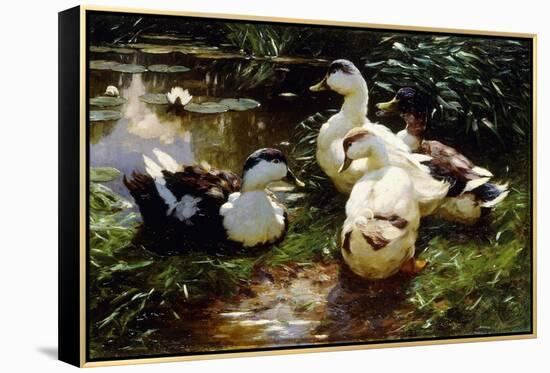 Ducks on a Riverbank-Alexander Koester-Framed Premier Image Canvas