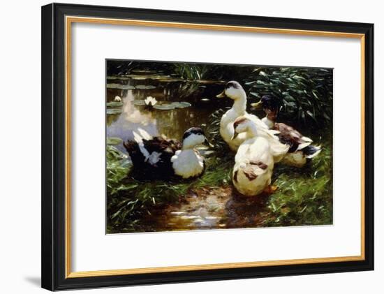 Ducks on a Riverbank-Alexander Koester-Framed Giclee Print