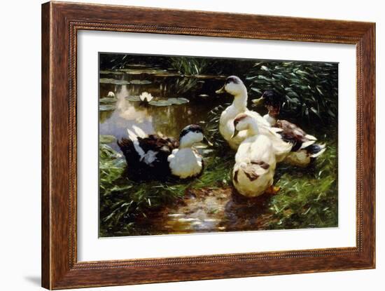 Ducks on a Riverbank-Alexander Koester-Framed Giclee Print