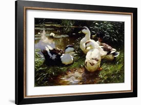 Ducks on a Riverbank-Alexander Koester-Framed Giclee Print