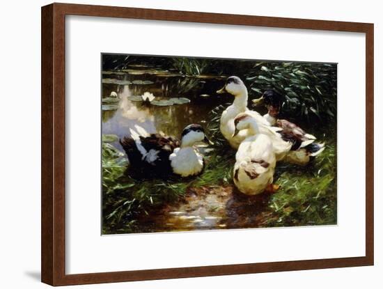 Ducks on a Riverbank-Alexander Koester-Framed Giclee Print