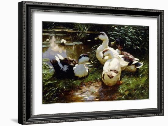 Ducks on a Riverbank-Alexander Koester-Framed Giclee Print