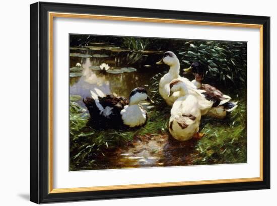 Ducks on a Riverbank-Alexander Koester-Framed Giclee Print