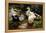 Ducks on a Riverbank-Alexander Koester-Framed Premier Image Canvas