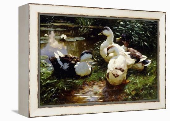 Ducks on a Riverbank-Alexander Koester-Framed Premier Image Canvas