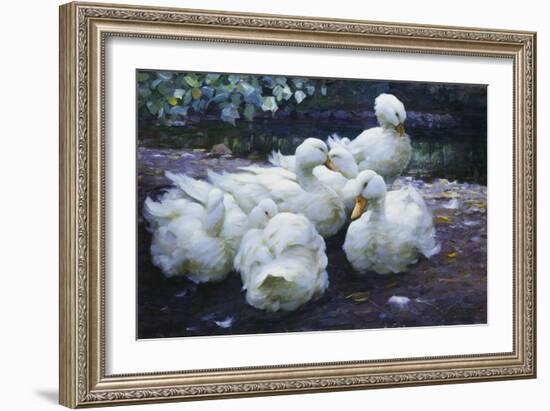 Ducks on the Bank of a River-Alexander Max Koester-Framed Giclee Print