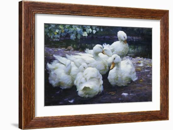 Ducks on the Bank of a River-Alexander Max Koester-Framed Giclee Print
