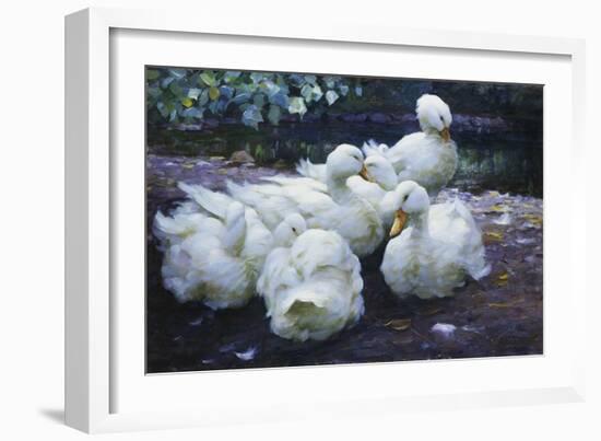 Ducks on the Bank of a River-Alexander Max Koester-Framed Giclee Print