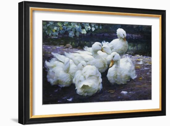 Ducks on the Bank of a River-Alexander Max Koester-Framed Giclee Print