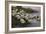 Ducks on the Lakeshore-Alexander Koester-Framed Giclee Print