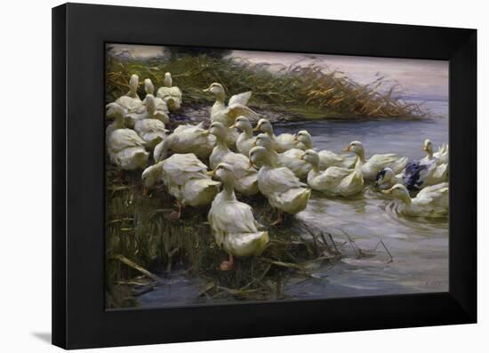 Ducks on the Lakeshore-Alexander Koester-Framed Giclee Print
