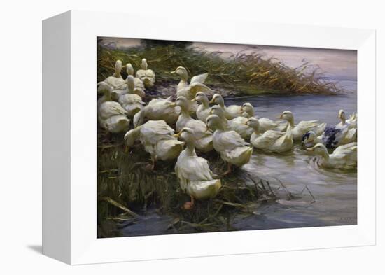 Ducks on the Lakeshore-Alexander Koester-Framed Giclee Print